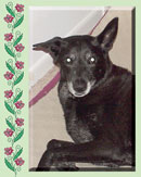 Abbey in Seminole