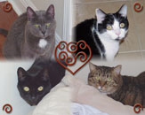 Lucy, Ethel, Madeleine, and Earnest in Seminole