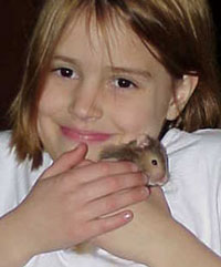 Waley, a hamster Waley, a hamster